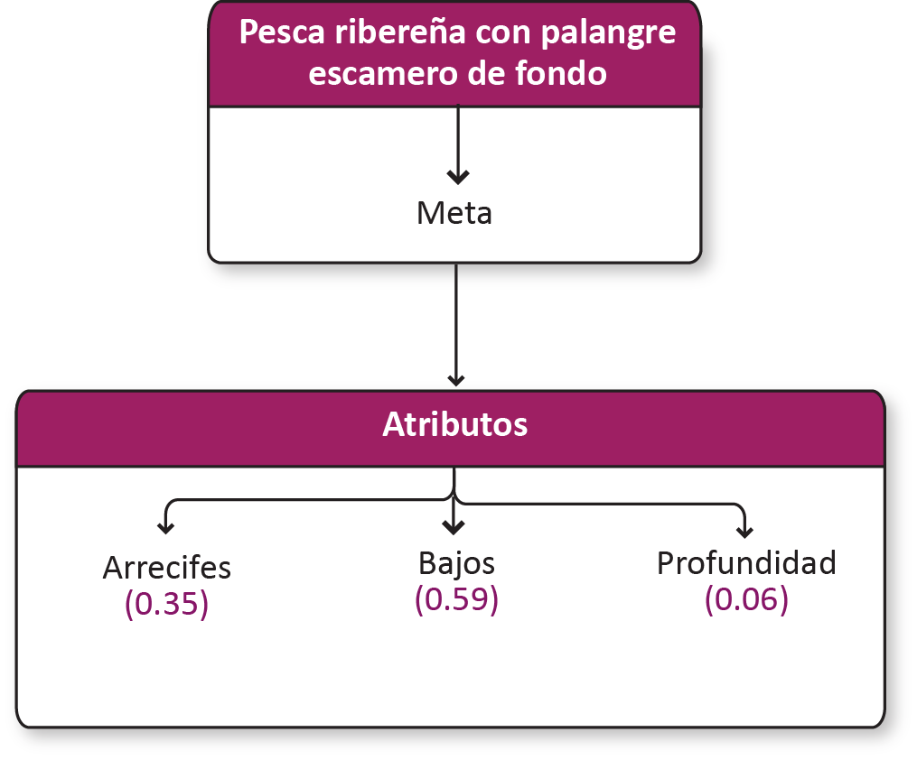 _images/c_palangre.png