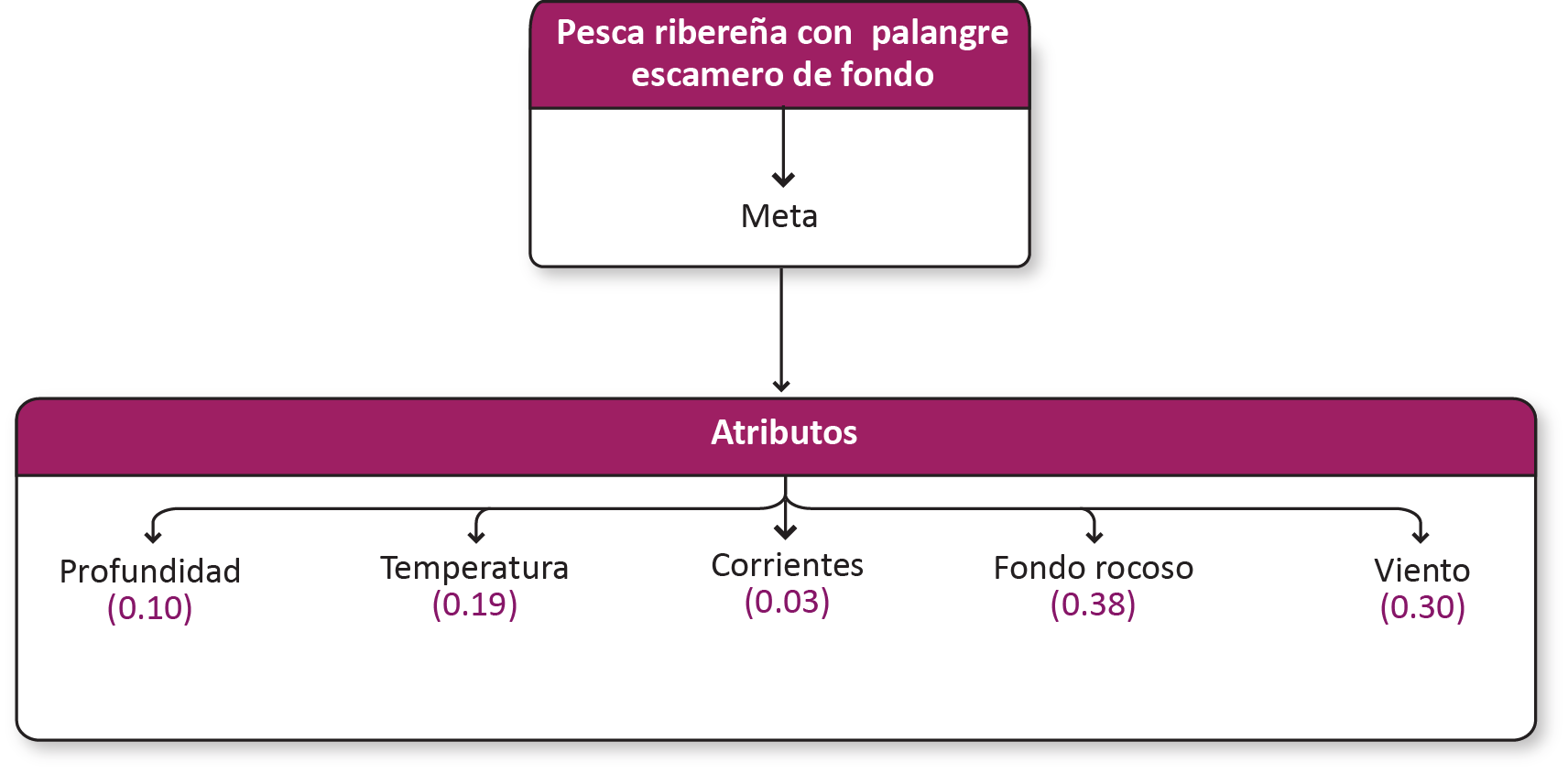 _images/palangre_pto.png