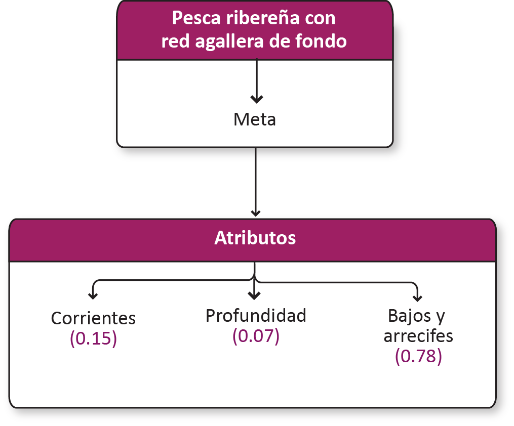_images/r_agallera.png