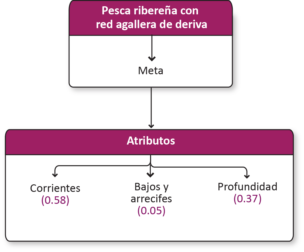 _images/r_agallera_ab.png