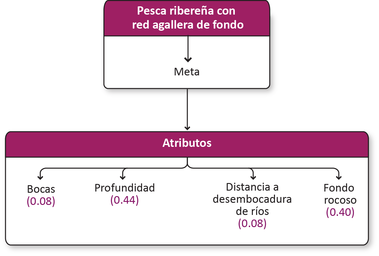 _images/r_agallera_pto.png